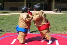 Giant Sumo Wrestling