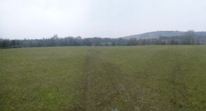 Empty field